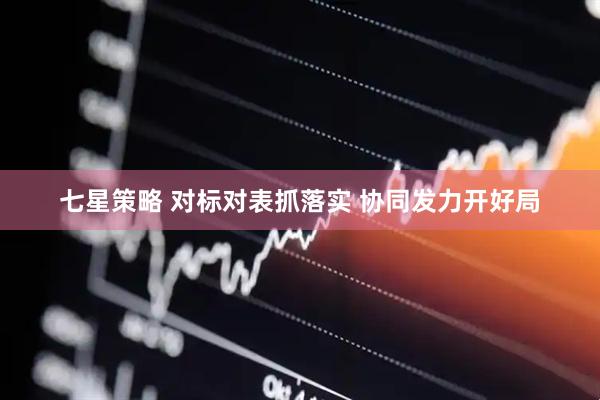 七星策略 对标对表抓落实 协同发力开好局